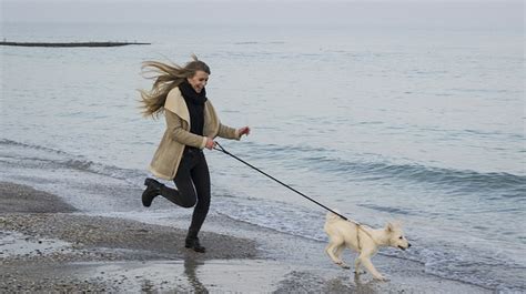virginia beach best dog walking in winter