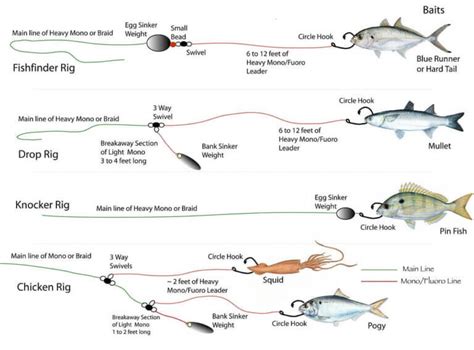 Tackle Tips