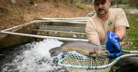 virginia trout stocking