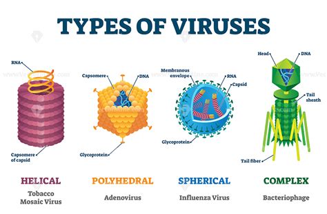 Viroids with Simple Structure