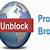 virtual browser unblocked