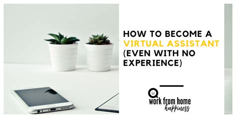 virtual assistant no experience
