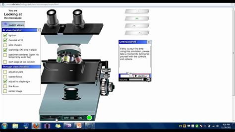 Virtual Lab Introduction To The Microscope