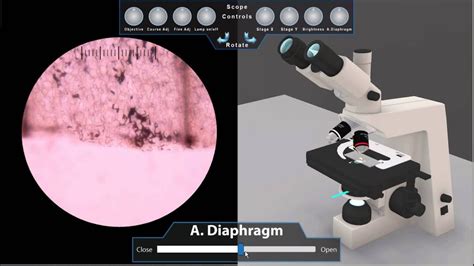 Virtual Lab On Microscope