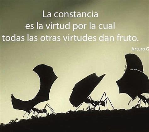 Must See Virtud De La Constancia