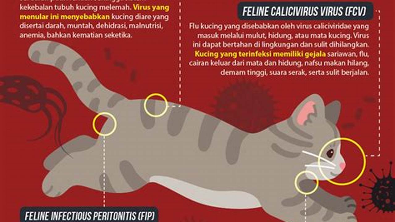 Pencegahan Efektif Virus Kucing untuk Kesehatan Kucing Kesayangan