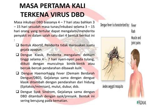  Gambar virus dbd
