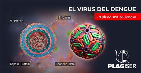 virus del dengue nombre cientifico