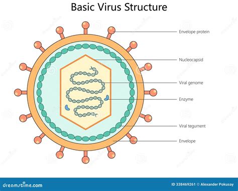 PPT Virus Structure PowerPoint Presentation, free download ID2460719