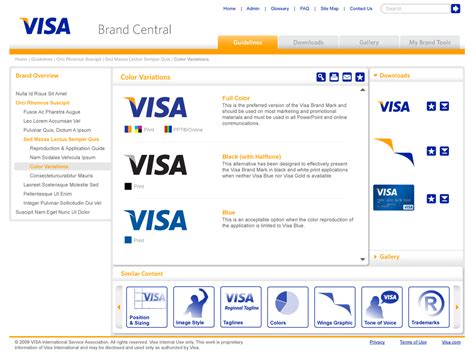 Visa Digital Brand Guidelines