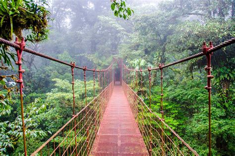 visit monteverde costa rica