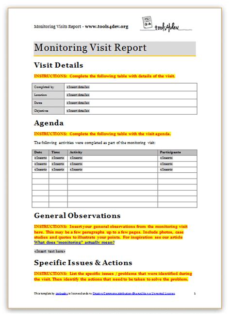 visit report format excel