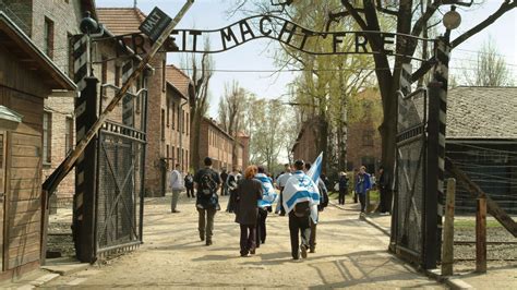 visita auschwitz campo di concentramento