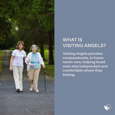 visiting angels brighton mi