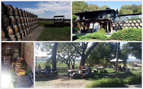 Sipping Wine on a Hill at Scribe Winery, Sonoma — Local Wanderer