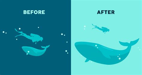 visual hierarchy definition graphic design examples