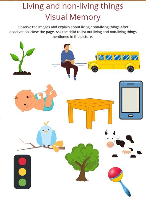 visual memory topics