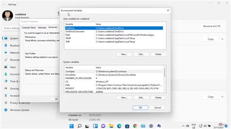 Visual Studio 2022 How To Set Environment Variables