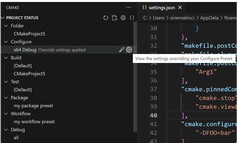 Visual Studio Cmake Update