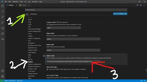 visual studio code change python version