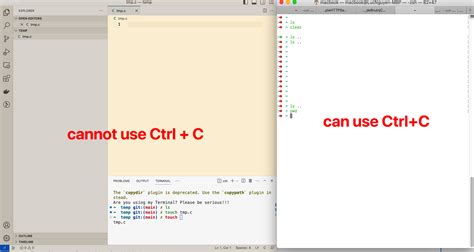visual studio code ctrl c not working terminal