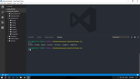 visual studio code git bash not showing