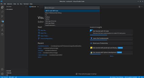 Visual Studio Code Launch Configuration Environment Variables