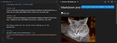 visual studio code markdown image size