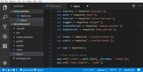 visual studio code or professional