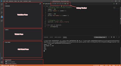 visual studio code python debug with arguments