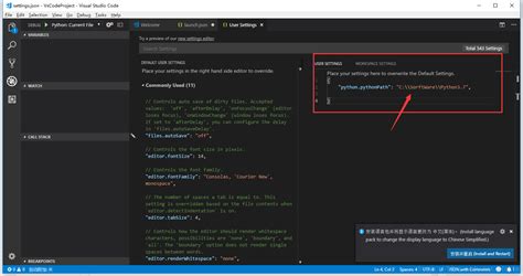 visual studio code python not working