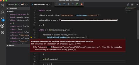 visual studio code run python with arguments