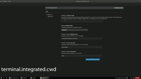 visual studio code set default working directory