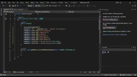 Visual Studio Combobox Example