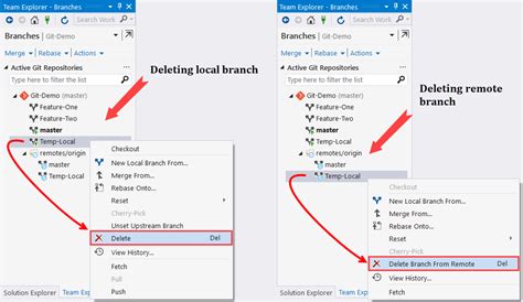 Visual Studio Delete Local Branch