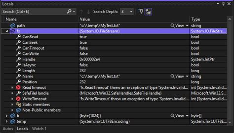 Visual Studio Local Variables Window