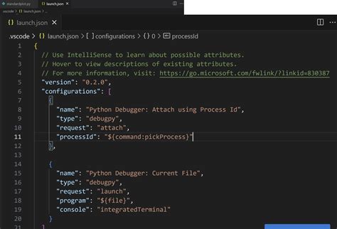 visual studio python config