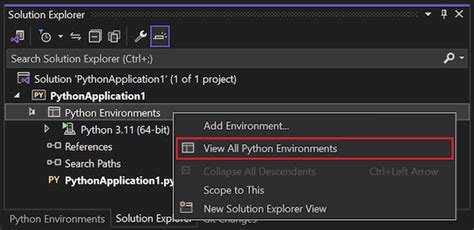 Visual Studio Python Environment Window