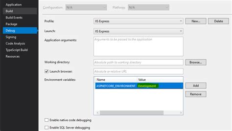 Visual Studio Take Environment Variables