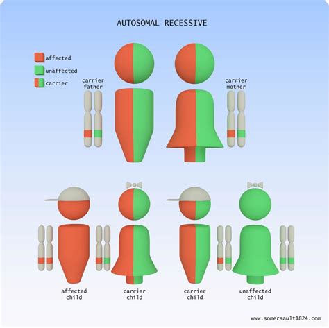 Visualizing Inheritance Patterns Image