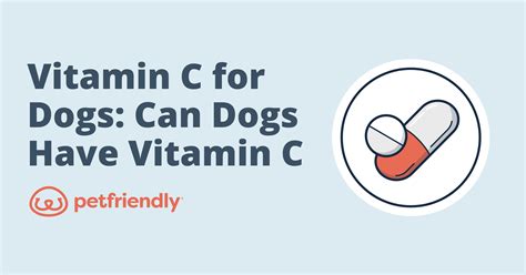 vit. c for dogs