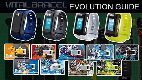 Vital Bracelet Evolution Lines
