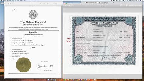 vital records baltimore md birth certificate