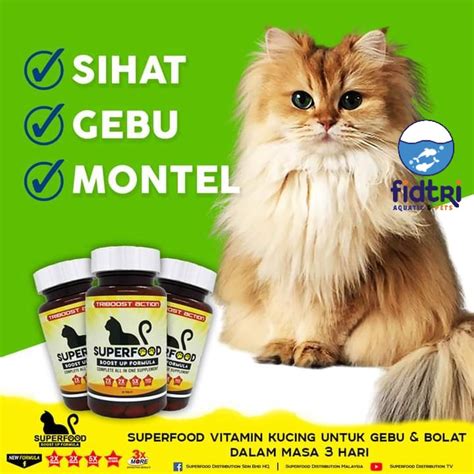 11 Merk Vitamin Kucing Terbaik yang Bagus untuk Gemuk