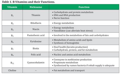 Vitamin A B C D Function