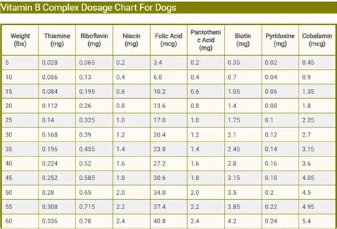 Vitamin B Complex Dose Dog