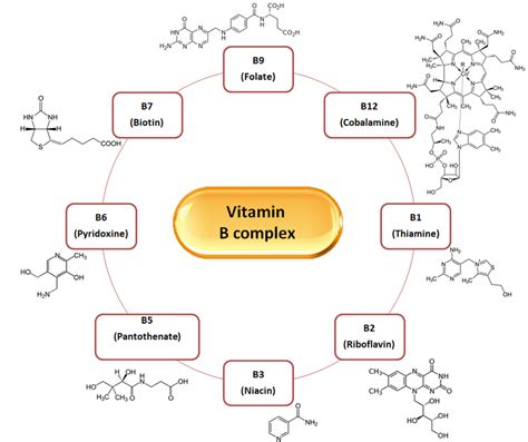 Vitamin B Complex Names List