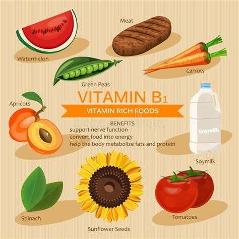 Vitamin B1 Rich Fruits And Vegetables