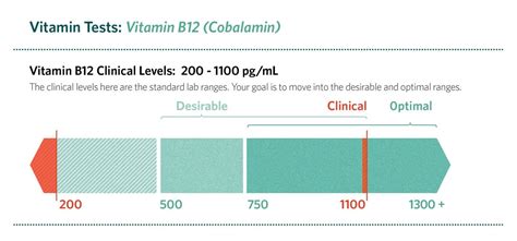 Vitamin B12 Minimum Level