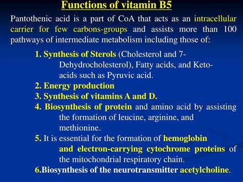 Vitamin B5 Role